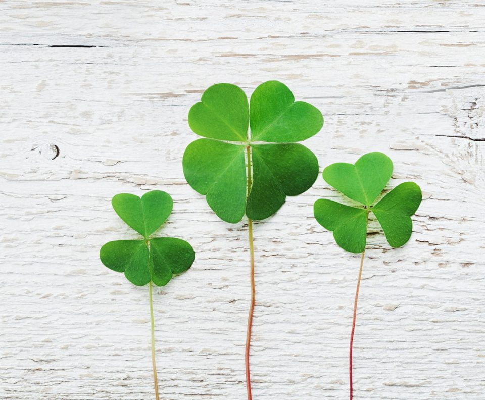 st patricks day pinching rules